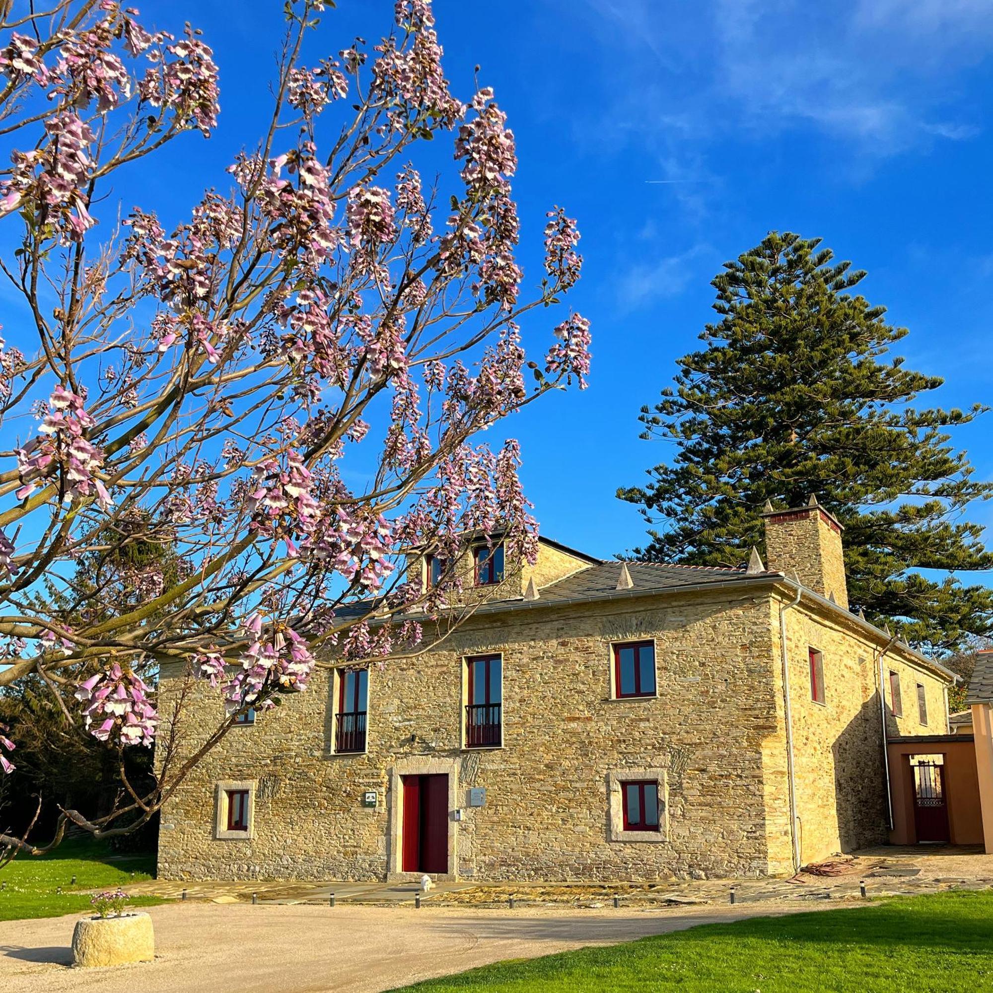 Araucaria House Guest House Barreiros Exterior photo